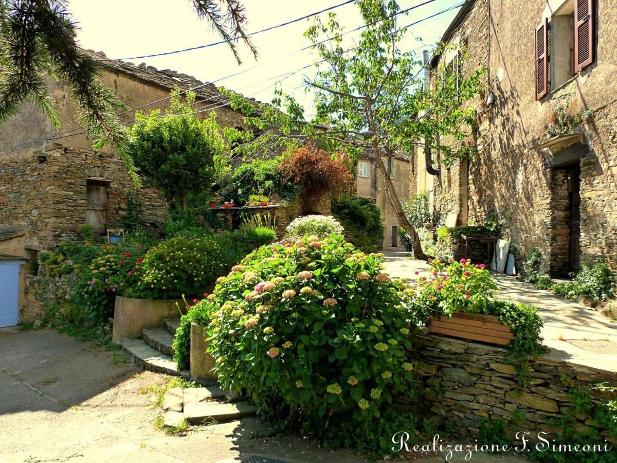 Tres Jolie Maison Aux Portes Du Cap Corse Sisco Luaran gambar