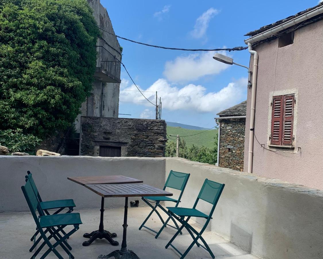 Tres Jolie Maison Aux Portes Du Cap Corse Sisco Luaran gambar