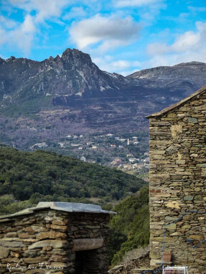 Tres Jolie Maison Aux Portes Du Cap Corse Sisco Luaran gambar